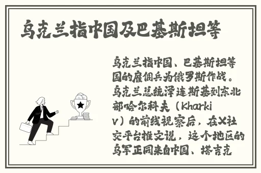 草莓视频app在线观看视频
